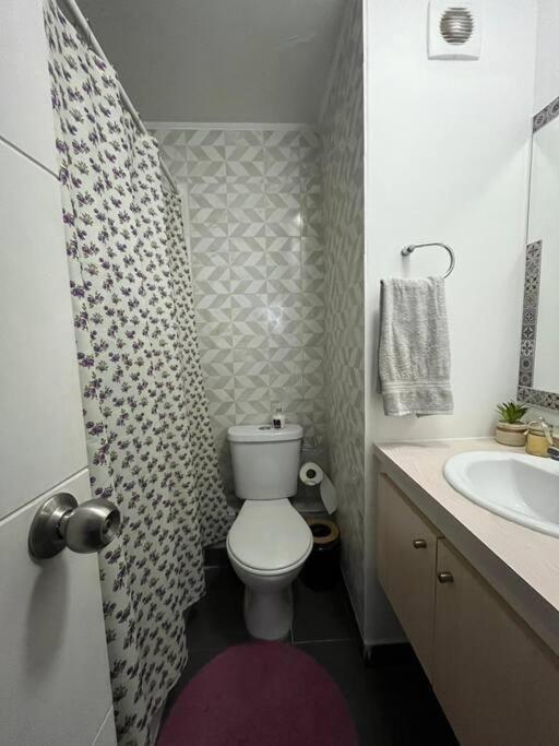 Departamento 1 Dorm En Apartment Santiago